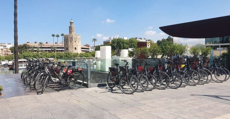 Seville: Guided City Sightseeing E-bike Tour