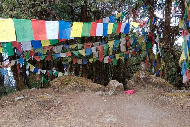 Shivapuri Peak Day Hike From Kathmandu