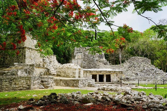 Sian Kaan Biosphere, Muyil Ruins, and Cenote Small-Group Tour  – Tulum