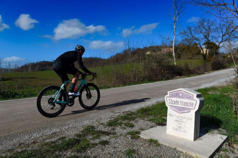 Siena: E-Bike Tour in the Chianti Senese With Lunch