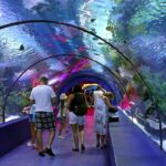 1 skip the line antalya aquarium ticket Skip the Line: Antalya Aquarium Ticket
