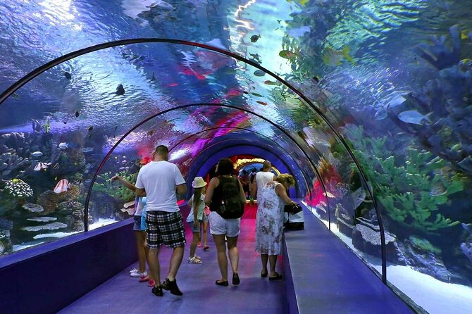 Skip the Line: Antalya Aquarium Ticket