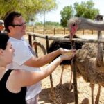 1 skip the line highgate ostrich farm tour ticket Skip the Line: Highgate Ostrich Farm Tour Ticket