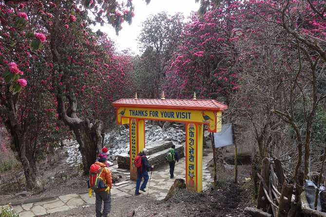 Small-Group 7-Day Guided Trek to Poon Hill  - Kathmandu - Altitude Adjustment and Acclimatization