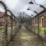 1 small group auschwitz birkenau guided tour from krakow abta Small Group Auschwitz-Birkenau Guided Tour From Krakow ABTA