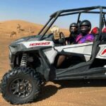 1 small group buggy driving experience with a polaris rzr x4 Small-Group Buggy Driving Experience With a Polaris RZR X4
