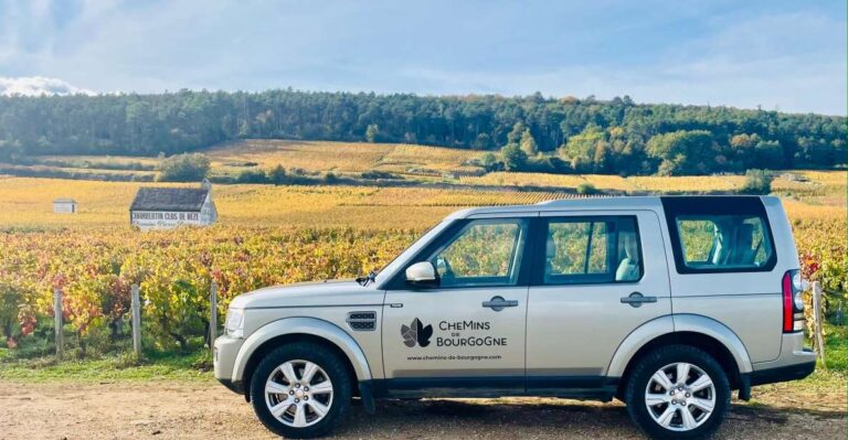Small Group Full Day Tour in the Burgundy Vineyards