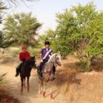 1 small group mushrif park horse ride in dubai Small-Group Mushrif Park Horse Ride in Dubai