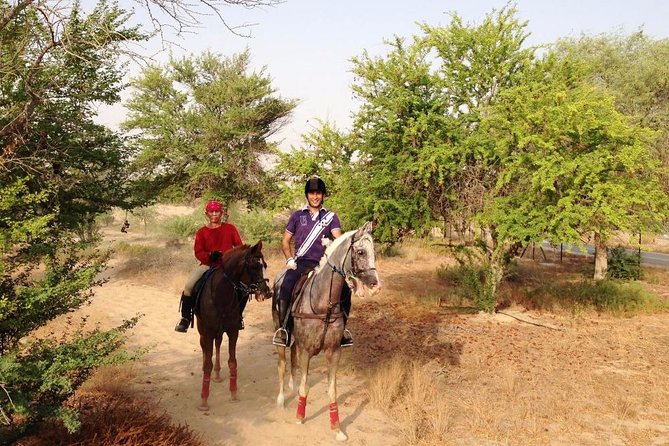 Small-Group Mushrif Park Horse Ride in Dubai