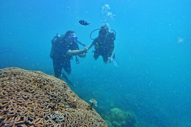 Small-Group Speedboat & Snorkeling Tour, Phu Quoc