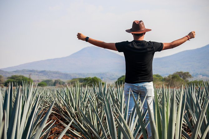 Small Group Tequila City Tour and Tasting From Guadalajara