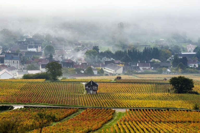 Small Group Tour Morning in Côte De Beaune