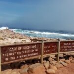 1 small group tour to cape of good hope and boulders beach penguin Small Group Tour to Cape of Good Hope and Boulders Beach Penguin