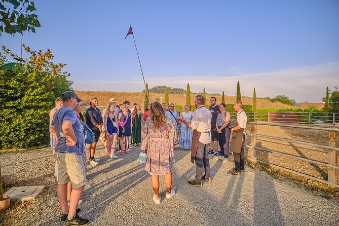 Small-Group Winery Tour With Tasting and Dinner in Chianti Vineyards