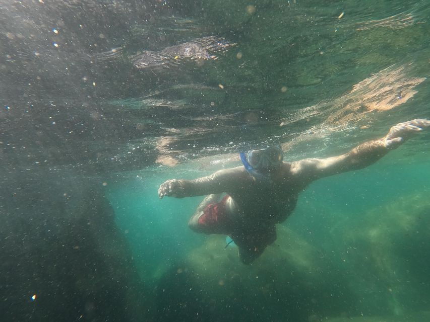 Snorkeling Experience in Ischia With Local Guide