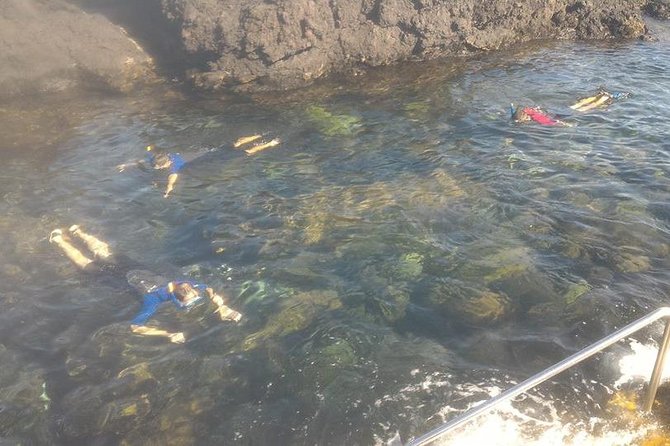 Snorkeling Experience in Terceira, Azores