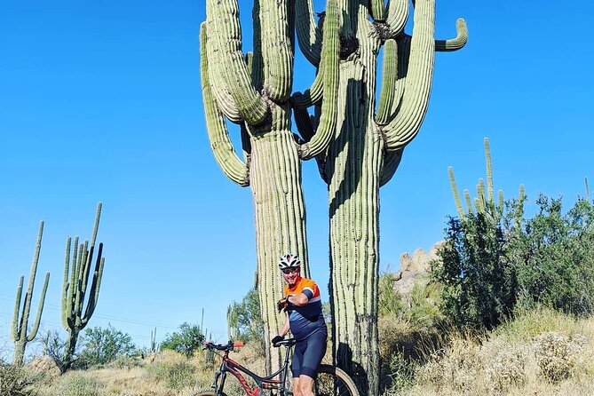 Sonoran Half Day Desert Mountain Bike Adventure- Guide or Solo  – Scottsdale