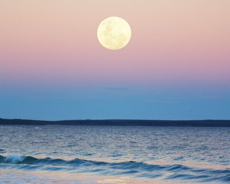 Sotogrande: Full Moon on the Sea 2 Hours