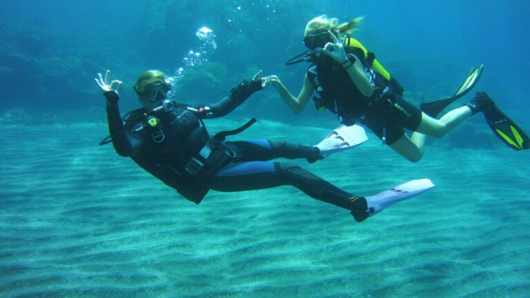 South Tenerife: Beginners Scuba Diving Experience