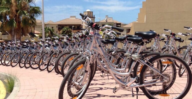 South Tenerife: Bike Rental With Hotel Delivery