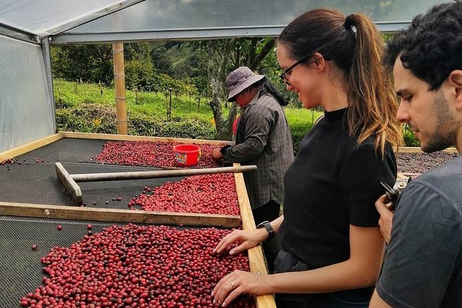 Specialty Coffee 101, History – Processing – Professional Cupping and More!