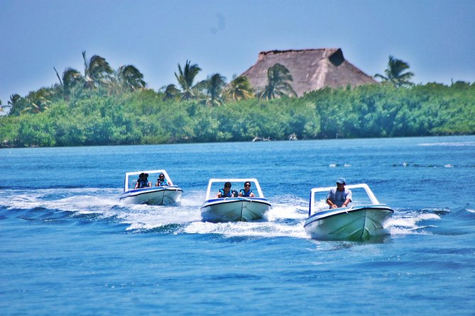 Speed Boat & Snorkel Tour With Transportation ( Only Cancun Zone Area)