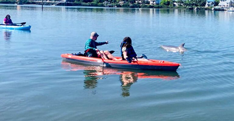 St. Augustine: Dolphin and Manatee Paddle or Kayak Tour