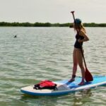 1 st augustine paddle board dolphin adventure St. Augustine: Paddle Board Dolphin Adventure