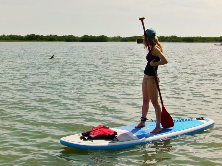 St. Augustine: Paddle Board Dolphin Adventure