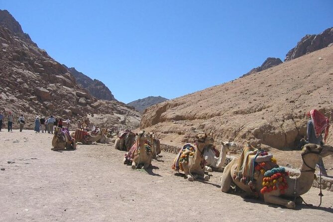 1 st catherine monastery and mt sinai sunrise tour from dahab St Catherine Monastery and Mt Sinai Sunrise Tour From Dahab