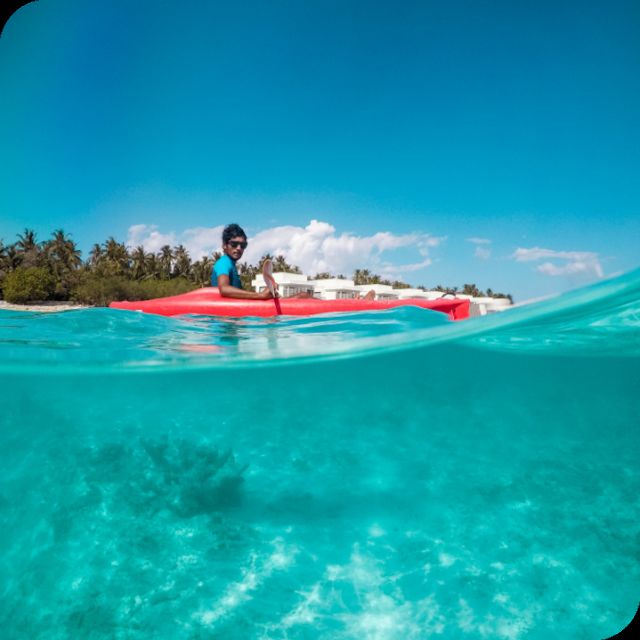 St. Petersburg, FL: Weedon Island Kayak Tour