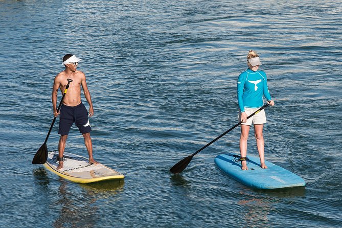 Stand up Paddle Board Hire Knysna 2 Hour