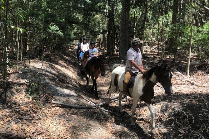 Stanford Mountain Ride 1 Hour