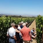 1 stellenbosch valley private wine tour with winemaker in swedish or english Stellenbosch Valley. Private Wine Tour With Winemaker in Swedish or English.