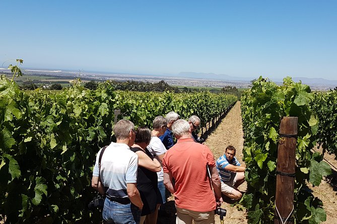 1 stellenbosch valley private wine tour with winemaker in swedish or english Stellenbosch Valley. Private Wine Tour With Winemaker in Swedish or English.