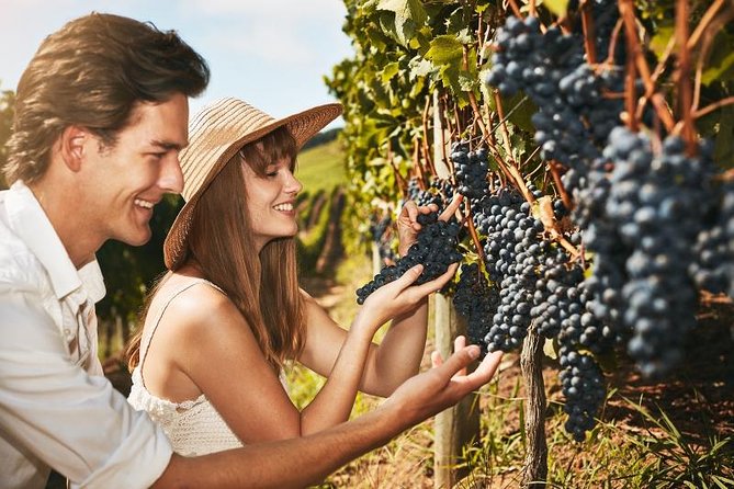 1 stellenbosch winelands half day tour from cape town Stellenbosch Winelands Half-Day Tour From Cape Town