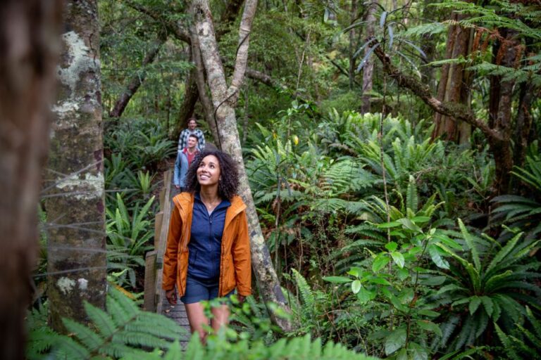 Stewart Island: Ulva Island Guided Wilderness Walk & Cruise