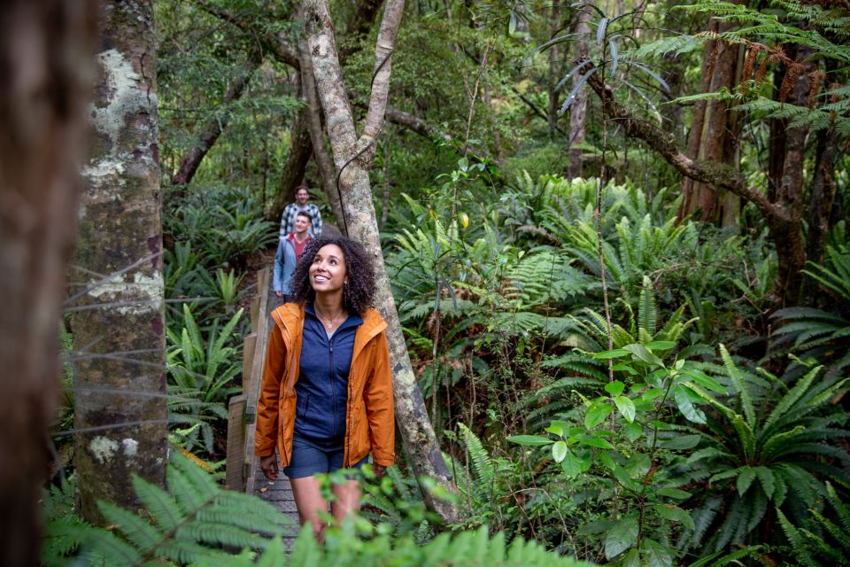 1 stewart island ulva island guided wilderness walk cruise Stewart Island: Ulva Island Guided Wilderness Walk & Cruise