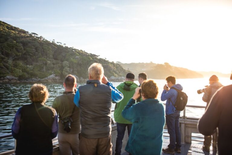 Stewart Island: Wild Kiwi Encounter