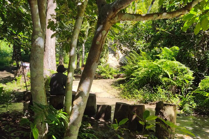 Sticky Waterfalls, Doi Suthep Temple Views, Wat Palad and Monks Chanting.