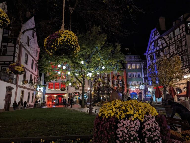 Strasbourg: Christmas Market by Night With Mulled Wine