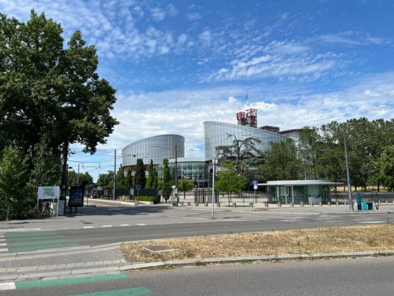 Strasbourg : European District Walking Tour