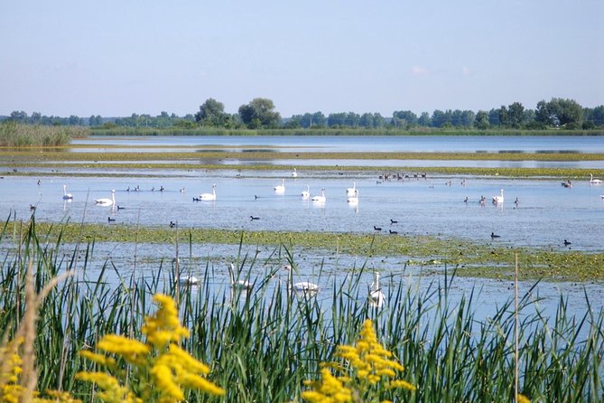 Stunning Kopacki Rit Nature Park Full-Day Private Tour From Zagreb