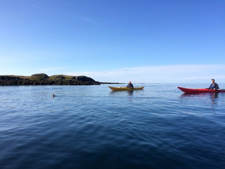 Stykkishólmur: 2-Hour Sea Kayak Tour