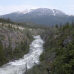 1 summit experience yukon suspension bridge tour Summit Experience & Yukon Suspension Bridge Tour