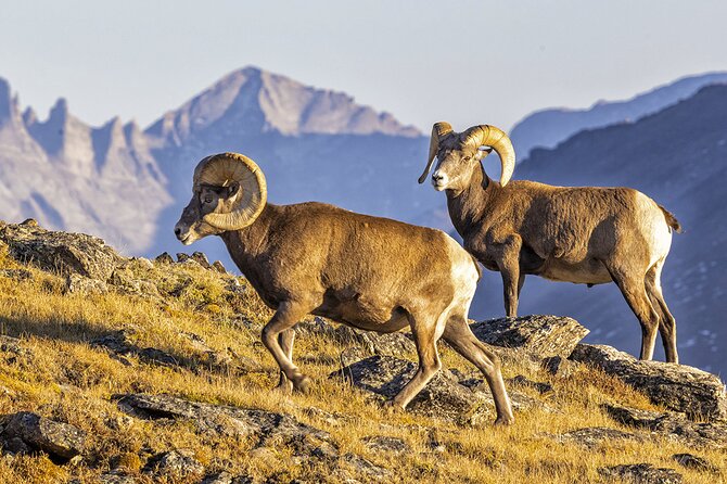 Sunset and Night Photography Tour on Trail Ridge Road