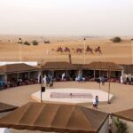 1 sunset camel trek red dunes safari with bbq at al khayma camp from dubai Sunset Camel Trek & Red Dunes Safari With BBQ at Al Khayma Camp From Dubai