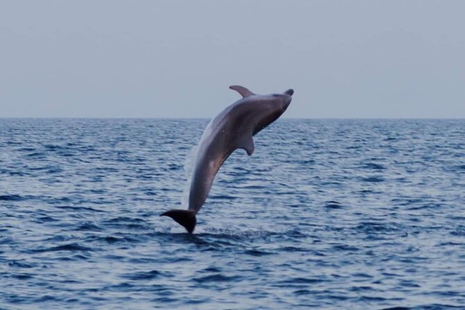 Sunset & Dolphins Private Boat Tour Around Brijuni Islands