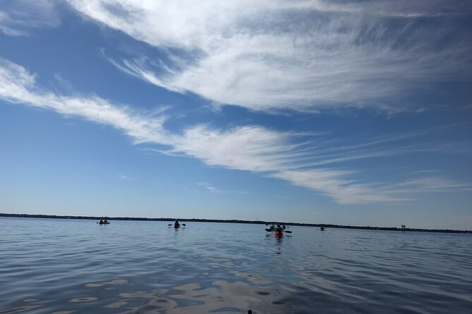 Sunset Kayaking Tour at Manatee Cove With Manatee & Dolphin Sightings