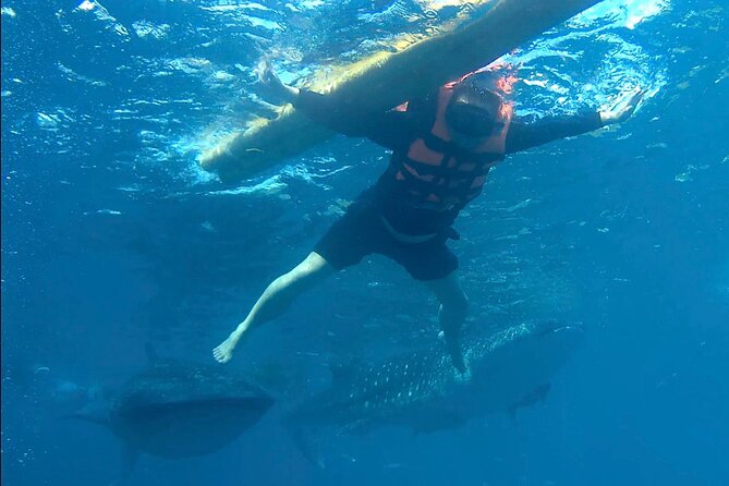 Swimming With Whale Sharks and Island-Hopping to Sumilon Island